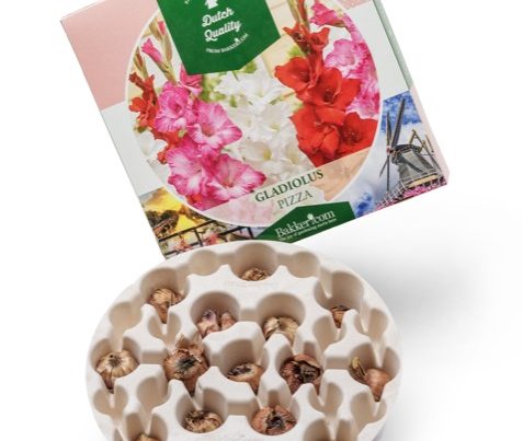 flower bulbs pizza plant tray bio-based compostable no plastic PaperFoam sustainable packaging