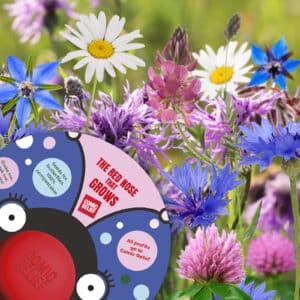 sustainable red nose that grows with wildflowers for butterflies