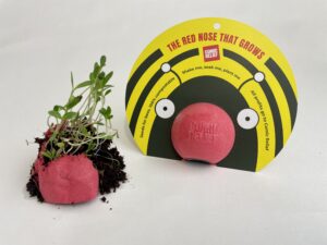 eco-friendly red nose that grows with sprouting wildflower plants