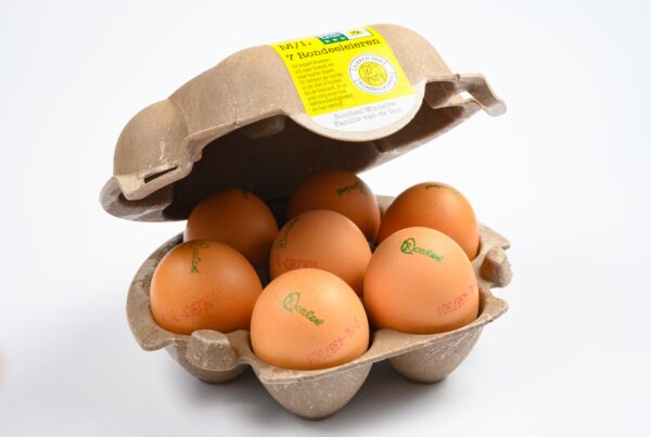 rondeel egg carton made of paperfoam